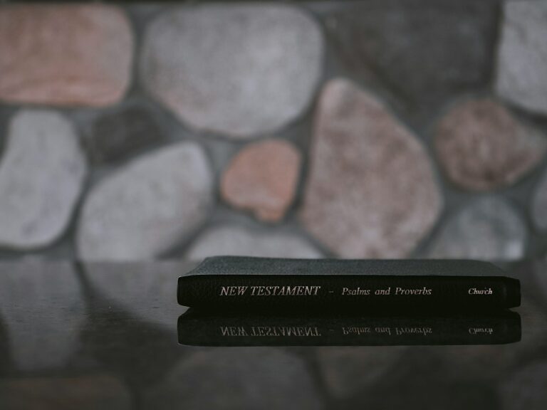 Who Wrote The Book Of Acts In The New Testament?