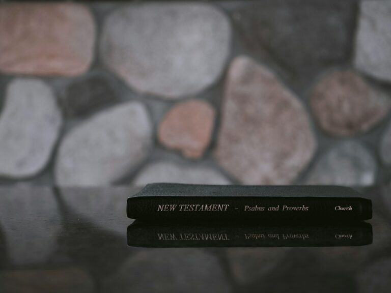 In The New Testament, Who Wrote The Epistle To The Hebrews?