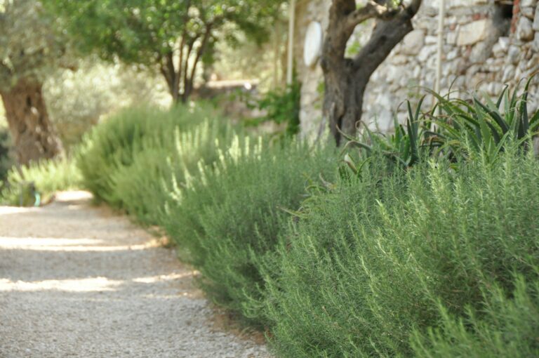 Archaeologists Uncover Jesus’ Ancient Pathway