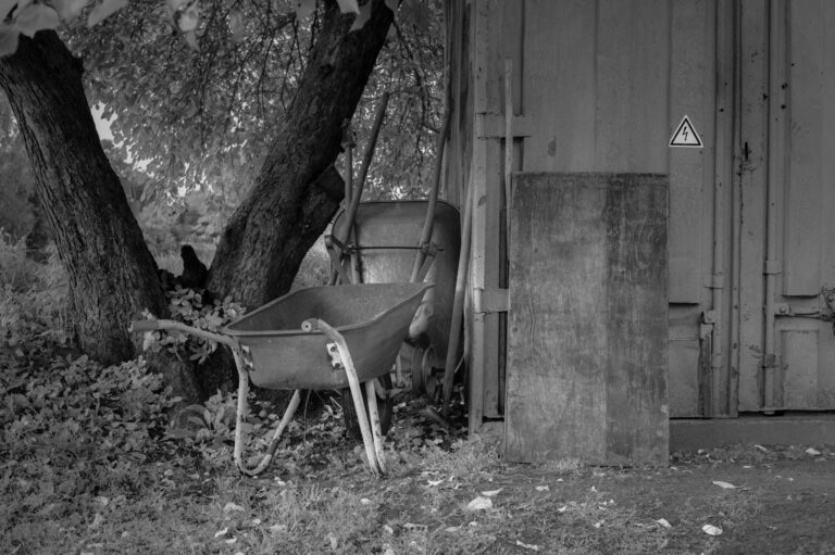 Priest Sentenced To 14 Years In Labor Camp