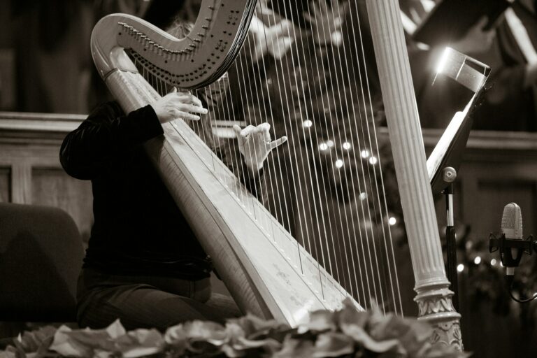 Which Biblical Character Was A Skilled Harp Player?