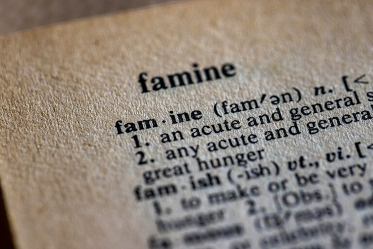 Who Interpreted Pharaoh’s Famine Dreams?