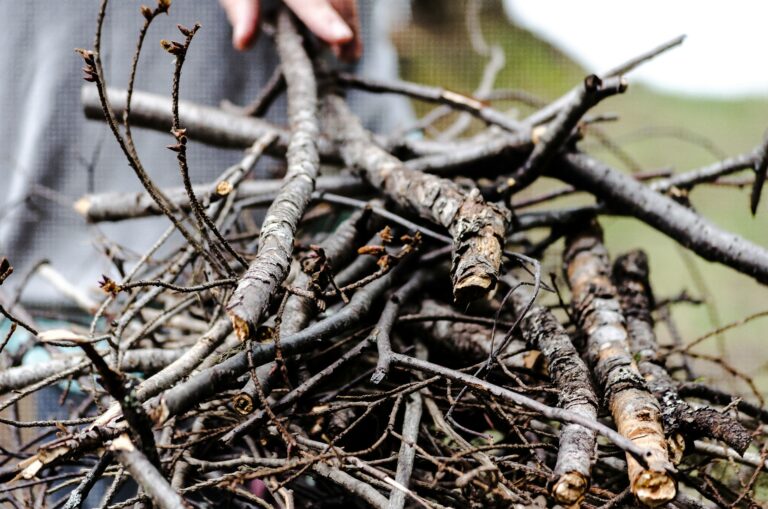Christian Man Publicly Shamed for Collecting Kindling