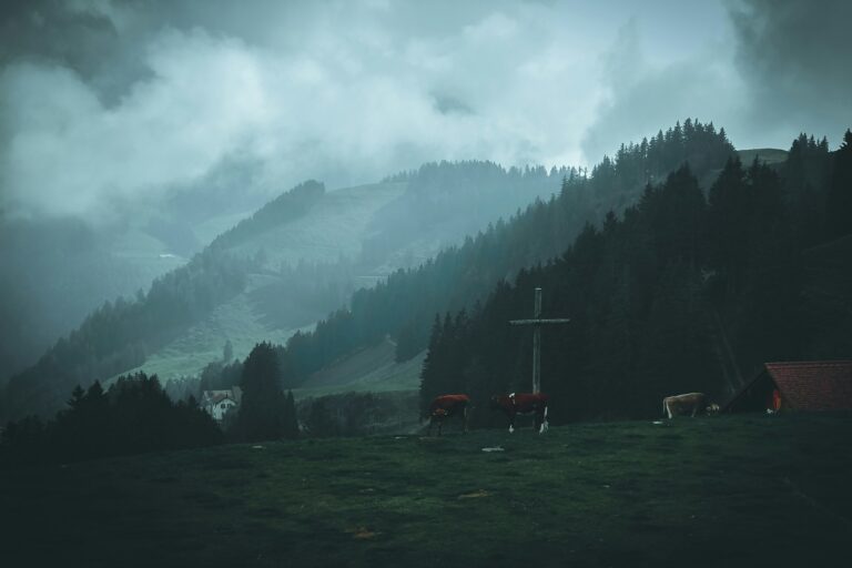 What Is The Term For Salvation Through Faith Alone?