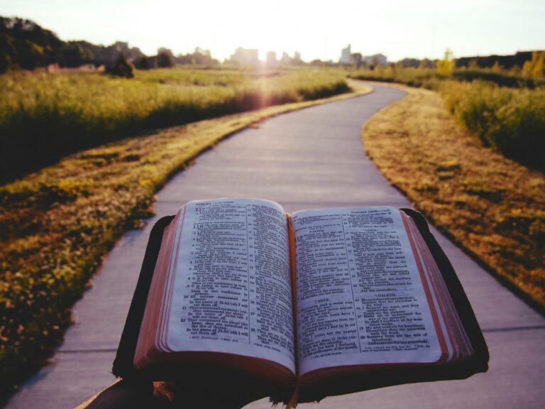 Which Type Of Scripture Would You Choose To Memorize?