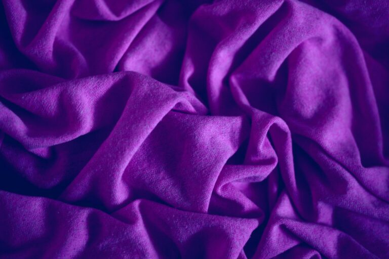 What New Testament Figure Was A Seller Of Purple Cloth?