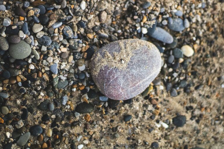 Who Was Stoned For Claiming Jesus Would Change The Temple And The Law?