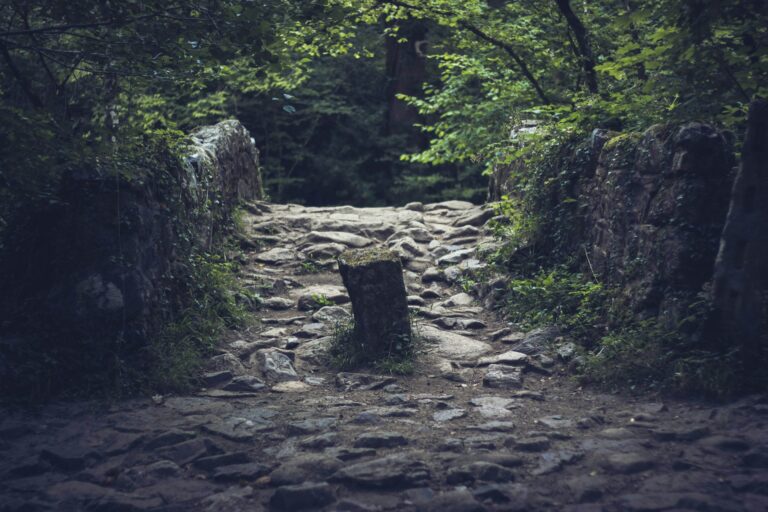 Which Is A Greater Obstacle To Spiritual Growth Today?