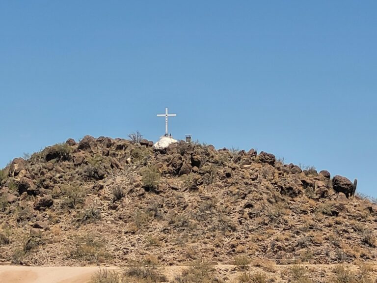 Which Would You Be More Excited To Participate In?