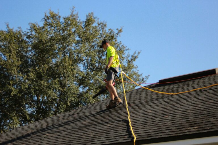 The Anonymous Roofer Saves Old Lady