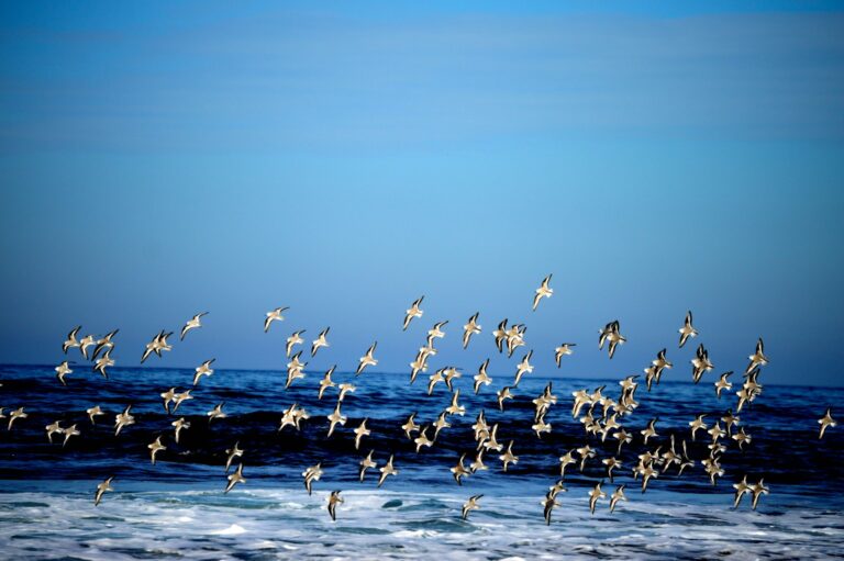 Something incredible just happened at the water’s edge