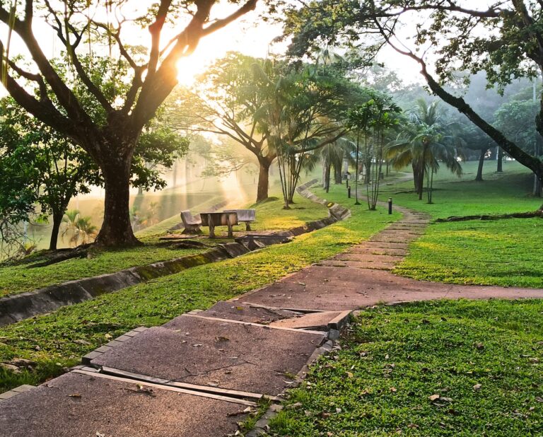 The 5:30 AM Prayer Walk That Saved a Life