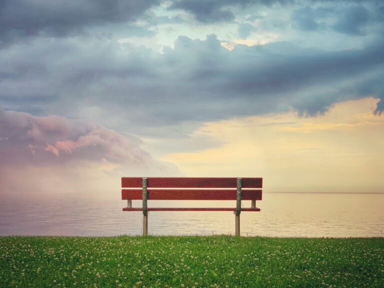 Why a Quiet Park Bench in Birmingham is Being Called “Holy Ground”