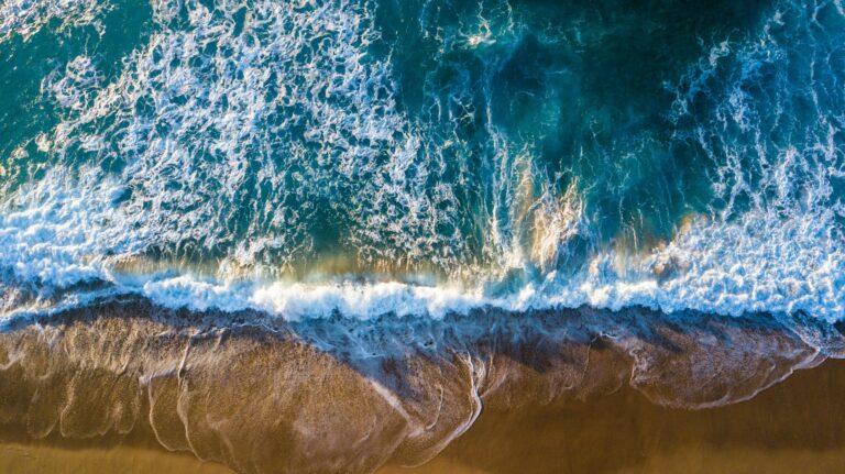 The “Wave of Grace” That Turned a Texas Shoreline Into a Sanctuary